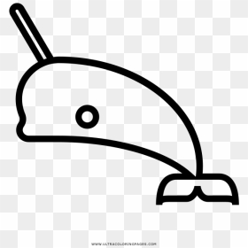 Narwhal Coloring Page, HD Png Download - coloring book png
