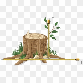 Cut Down Tree Png, Transparent Png - trees from above png