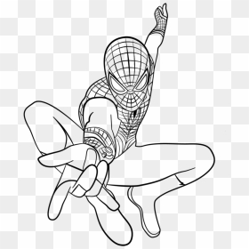 Spiderman Line Art - North Cape, HD Png Download - coloring book png