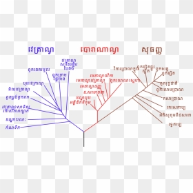 Phylogenetic Tree Km - Phylogenetic Tree, HD Png Download - trees from above png