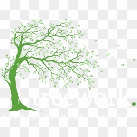 Arboricultural Services Treework Ltd - نقاشی درخت بهاری, HD Png Download - trees from above png