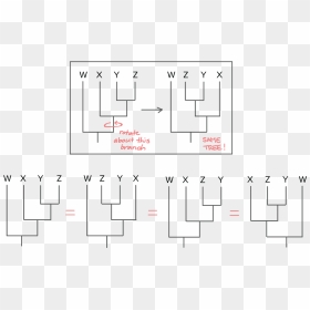 Diagram, HD Png Download - trees from above png