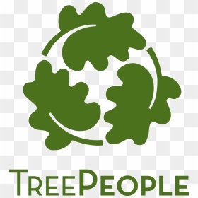 Tree People Organization, HD Png Download - trees from above png