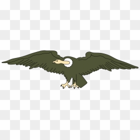 Andean Condor Clipart, HD Png Download - condor png