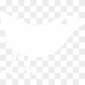 Old World Flycatcher, HD Png Download - twitter bird white png
