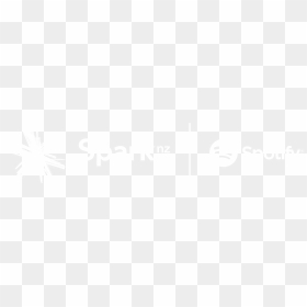 Twitter White Bird Logo , Png Download - Spark New Zealand, Transparent Png - twitter bird white png
