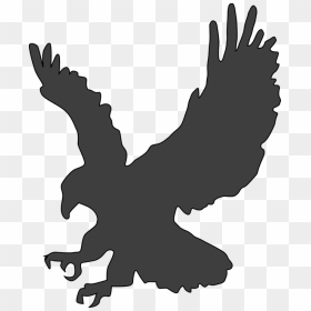 Eagle Silhouette Clipart, HD Png Download - condor png