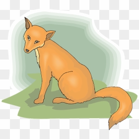 Fox, HD Png Download - fox tail png