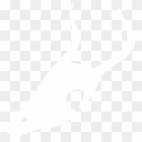 Johns Hopkins Logo White, HD Png Download - condor png