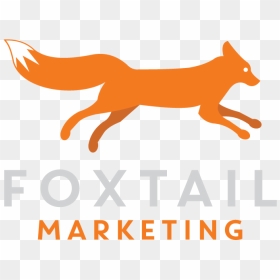 Foxtail Marketing, HD Png Download - fox tail png