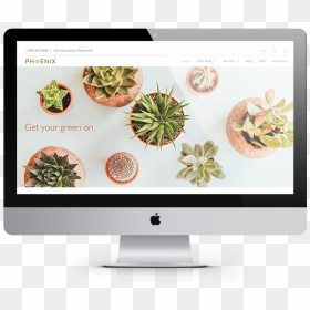 Artisan Theme / Phoenix - Succulent Captions, HD Png Download - sandbox png