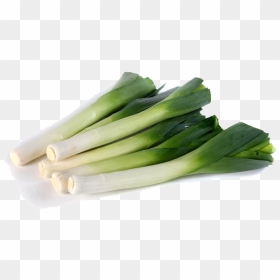 Leek, HD Png Download - porro png