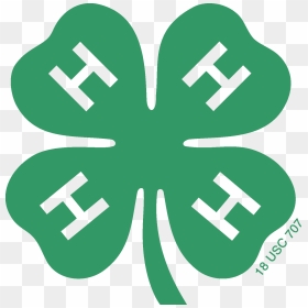 Logos & Graphics - 4 H Clover, HD Png Download - four png