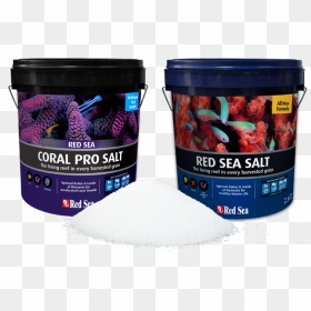 Red Sea Reef Salt, HD Png Download - sea coral png