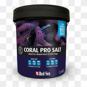 Red Sea Coral Pro Salt - Coral Pro Salt Red Sea 22, HD Png Download - sea coral png