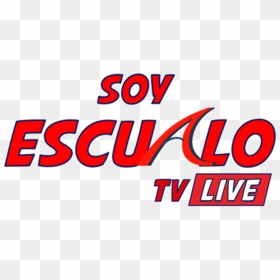 Soy Escualo Tv - Carmine, HD Png Download - live tv png