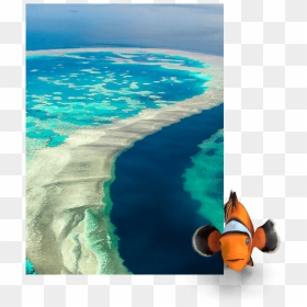 Barrier Reef, HD Png Download - sea coral png