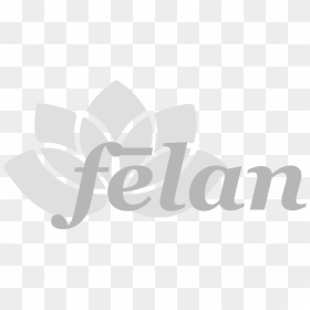 Support Fēlan, Fēlan - Illustration, HD Png Download - white fleur de lis png