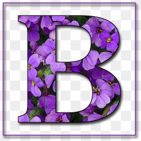 Capital Letter B Free Scrapbook Alphabet Png - B Name Photo Download, Transparent Png - alphabet letters png