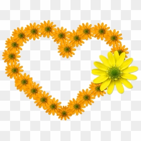 Heart Flower Heart Bloom Feelings Flowers - Good Morning My Love Yellow, HD Png Download - greeting card png