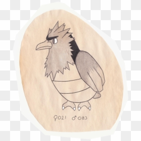 Tiny Bird Pokemon - Illustration, HD Png Download - spearow png