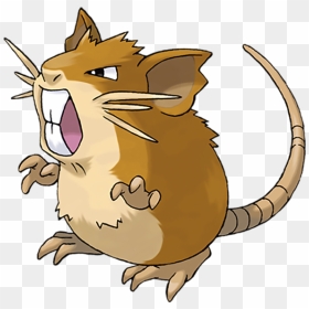 Pokémon Raticate, HD Png Download - spearow png