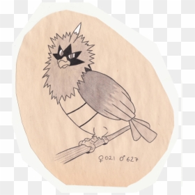 Old World Flycatcher, HD Png Download - spearow png