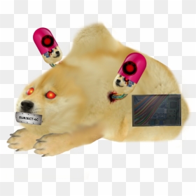 Dog Licks, HD Png Download - salesman png