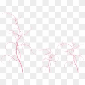 Sketch, HD Png Download - architecture tree png