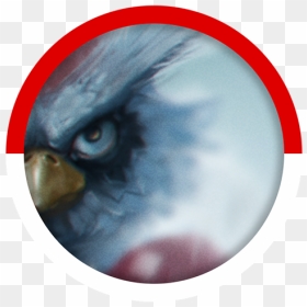Birman, HD Png Download - delibird png