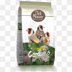 Deli Nature Aves Cultura Carduelis, HD Png Download - delibird png