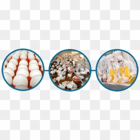Rum Ball, HD Png Download - funnel cake png