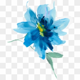 Watercolor Blueflower Sticker By Janet Murphy - Flores Azules Png, Transparent Png - flores azules png