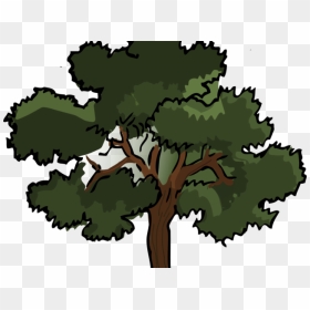 Jungle Trees- Clipart - Live Oak Tree Clipart, HD Png Download - jungle trees png
