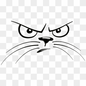 Unhappy Cat Face Clipart - Funny Cat Face Drawing, HD Png Download - unhappy png