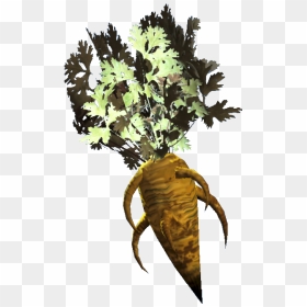Carrots Fallout 76 Food Wiki-guide - Fallout 4 Carrot, HD Png Download - deathclaw png