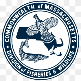 Division Of Fisheries And Wildlife Massachusetts Wikipedia - Emblem, HD Png Download - lapd logo png