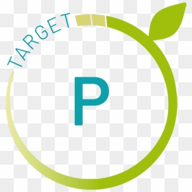 Target Performance Icon Transparent - Circle, HD Png Download - target symbol png