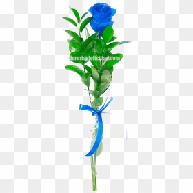 Houseplant, HD Png Download - flores azules png