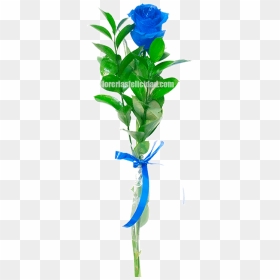 Houseplant, HD Png Download - flores azules png