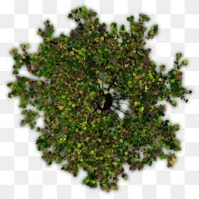 The First One Is Crap, Because Of The Hard Shadows, HD Png Download - crap png