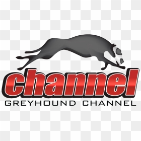 A Blog Covering A Variety Of Topics On Greyhound Racing - Jaguar, HD Png Download - variety logo png