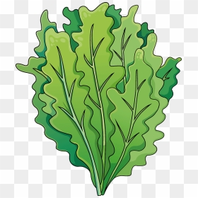 Salad Clipart - Mustard Greens, HD Png Download - salad clipart png