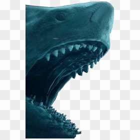 The Meg Megalodon Png By Pedroaugusto14 - Megalodon Png, Transparent Png - megalodon png