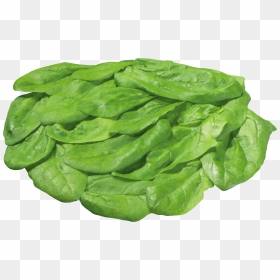 Download For Free Salad Icon Png - Piece Of Lettuce Transparent, Png Download - salad clipart png