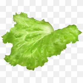 Leaf Png Image Gallery - Lettuce Leaf Transparent Background, Png Download - salad clipart png