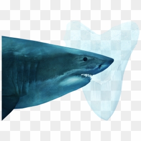 Megalodon National Geographic, HD Png Download - megalodon png