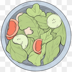 Lettuce Clipart - Cabbage, HD Png Download - salad clipart png
