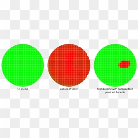 Transparent No Signal Png - Christmas Day, Png Download - no signal png