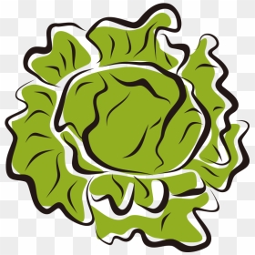 Drawing Vegetable Lettuce - Lettuce Clip Art, HD Png Download - salad clipart png
